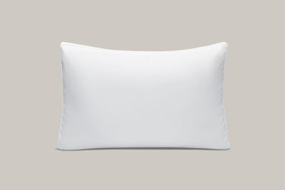 Resort Collection Pillow (Pack of 2)